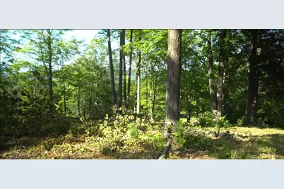 83Xxx - Lot 11 Ashwabay Road, Bayfield, WI 54814 - Photo 4