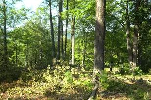 83Xxx - Lot 11 Ashwabay Rd, Bayfield, WI 54814 - Photo 4