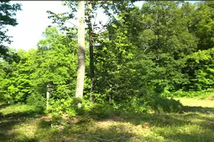 83Xxx - Lot 11 Ashwabay Rd, Bayfield, WI 54814 - Photo 6