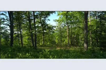 83Xxx - Lot 11 Ashwabay Road, Bayfield, WI 54814 - Photo 8