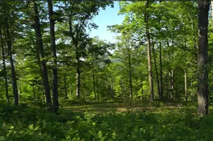 83Xxx - Lot 11 Ashwabay Rd, Bayfield, WI 54814 - Photo 8