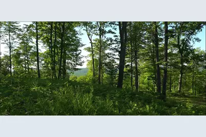 83Xxx - Lot 11 Ashwabay Road, Bayfield, WI 54814 - Photo 10