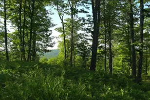 83Xxx - Lot 11 Ashwabay Rd, Bayfield, WI 54814 - Photo 10