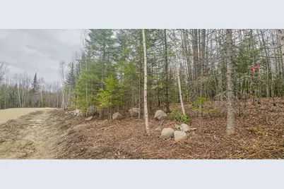 Tbd Parcel 14 Hwy 115, Tower, MN 55790 - Photo 6