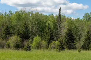 16355 Wildflower Ln NE, Blackduck, MN 56630 - Photo 6