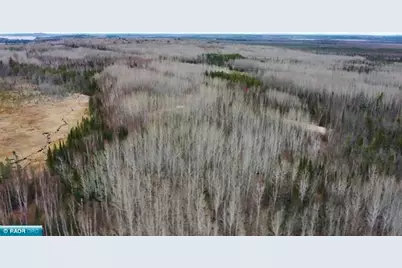 Tbd Parcel 15 Hwy 115, Tower, MN 55790 - Photo 10