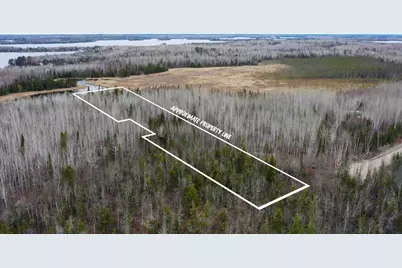 Tbd Parcel 15 Hwy 115, Tower, MN 55790 - Photo 1