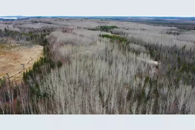 Tbd Parcel 15 Hwy 115, Tower, MN 55790 - Photo 2