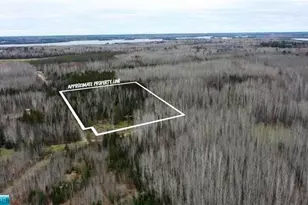 Tbd Parcel 19 Hwy 115, Tower, MN 55790 - Photo 1