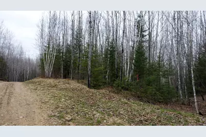 Tbd Parcel 20 Hwy 115, Tower, MN 55790 - Photo 2