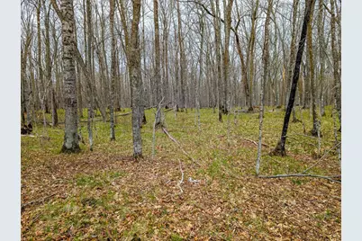 Tbd 235th Place, McGregor, MN 55760 - Photo 2
