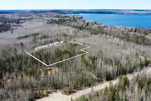Tbd Parcel F Frazer Bay Rd, Cook, MN 55723 - Photo 1