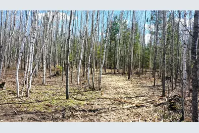 Tbd Parcel G Frazer Bay Road, Cook, MN 55723 - Photo 10