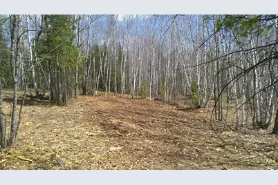 Tbd Parcel I Frazer Bay Road, Cook, MN 55723 - Photo 4