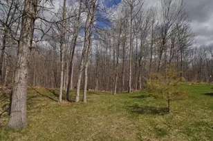 2332 Webb Forest Ct NW, Hackensack, MN 56452 - Photo 38