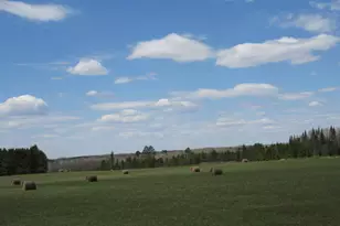Tbd Farm To Market, Sturgeon Lake, MN 55783 - Photo 1