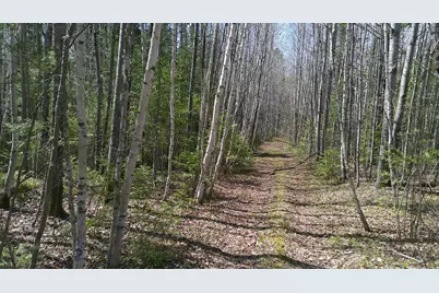 Tbd Parcel Y Frazer Bay Road, Cook, MN 55723 - Photo 2