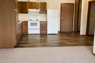1145 Friberg Ave, Fergus Falls, MN 56537 - Photo 4