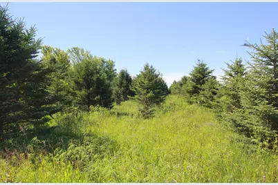 Tbd 60th Street, Blue Earth, MN 56013 - Photo 8