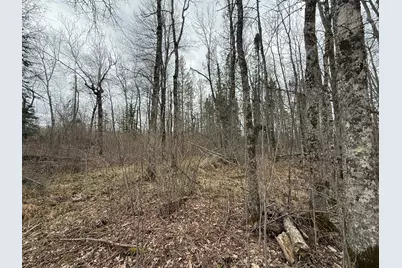 3854 Rasmussen Rd., Floodwood, MN 55798 - Photo 62