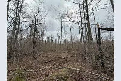 3854 Rasmussen Rd., Floodwood, MN 55798 - Photo 86