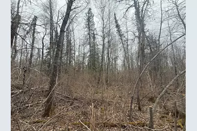 3854 Rasmussen Rd., Floodwood, MN 55798 - Photo 60