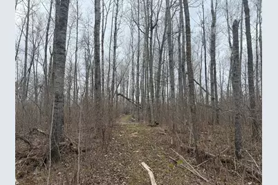 3854 Rasmussen Rd., Floodwood, MN 55798 - Photo 18