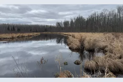 3854 Rasmussen Rd., Floodwood, MN 55798 - Photo 36