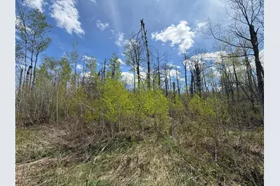3854 Rasmussen Rd., Floodwood, MN 55798 - Photo 6