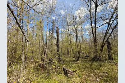 3854 Rasmussen Rd., Floodwood, MN 55798 - Photo 16
