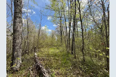 3854 Rasmussen Rd., Floodwood, MN 55798 - Photo 12