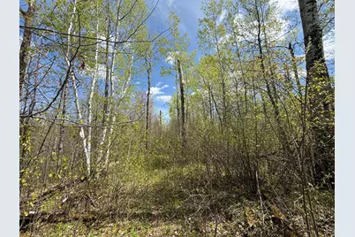 3854 Rasmussen Rd., Floodwood, MN 55798 - Photo 10