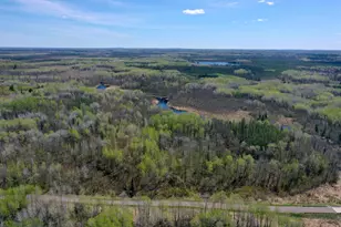 3854 Rasmussen Rd, Floodwood, MN 55798 - Photo 1