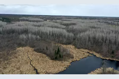 3854 Rasmussen Rd., Floodwood, MN 55798 - Photo 6
