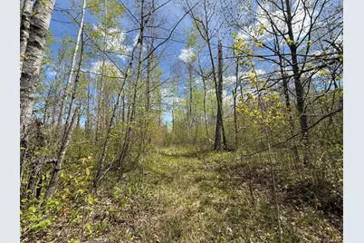 3854 Rasmussen Rd., Floodwood, MN 55798 - Photo 8
