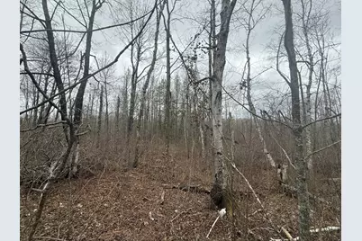3854 Rasmussen Rd., Floodwood, MN 55798 - Photo 58