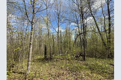 3854 Rasmussen Rd., Floodwood, MN 55798 - Photo 14
