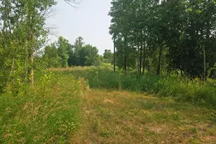 183Xx 302nd Ave, Detroit Lakes, MN 56501 - Photo 1