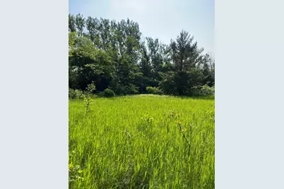 Tbd Wild Rose Trail, Frazee, MN 56544 - Photo 14