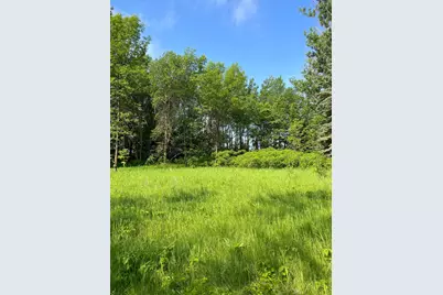Tbd Wild Rose Trail, Frazee, MN 56544 - Photo 2