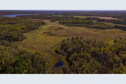 Parcel #3 Tbd County 9, Becida, MN 56678 - Photo 14