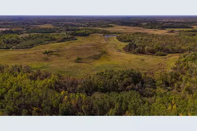 Parcel #3 Tbd County 9, Becida, MN 56678 - Photo 16