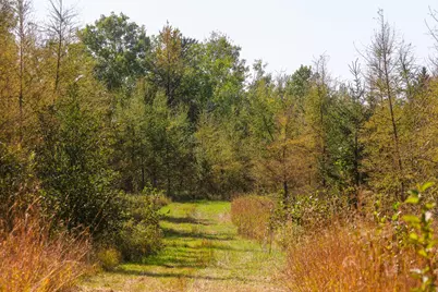 Parcel #3 Tbd County 9, Becida, MN 56678 - Photo 4