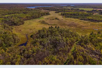 Parcel #3 Tbd County 9, Becida, MN 56678 - Photo 12