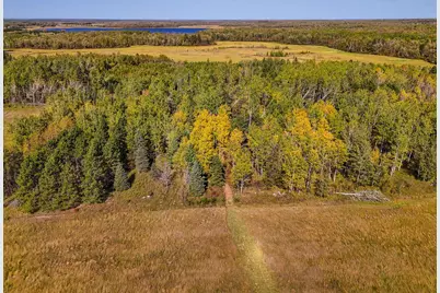 Parcel #3 Tbd County 9, Becida, MN 56678 - Photo 6