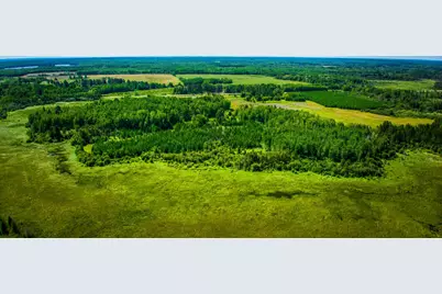Parcel #3 Tbd County 9, Becida, MN 56678 - Photo 40