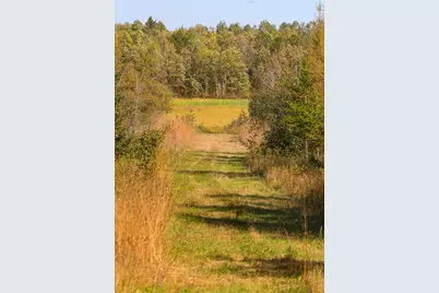 Parcel #3 Tbd County 9, Becida, MN 56678 - Photo 28