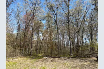 Tbd 151st Street NW, Princeton, MN 55371 - Photo 2