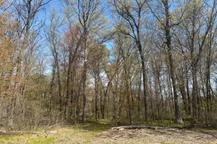 Tbd 151st Street NW, Princeton, MN 55371 - Photo 1