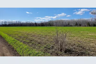 Tbd Wildflower Lane NE, Blackduck, MN 56630 - Photo 2